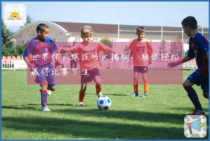 世界杯买球技巧大揭秘，助你轻松赢得比赛下注