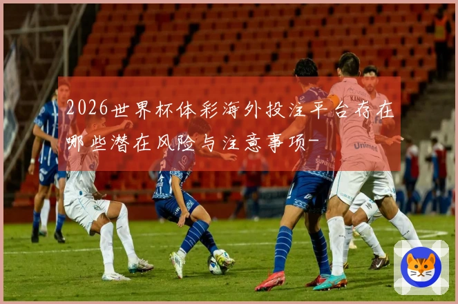 2026世界杯体彩海外投注平台存在哪些潜在风险与注意事项-