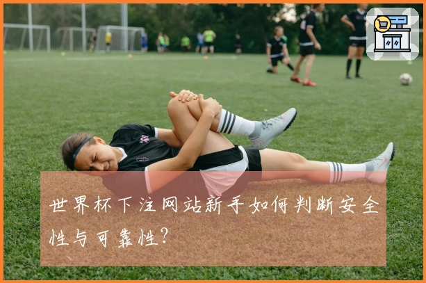 世界杯下注网站新手如何判断安全性与可靠性？