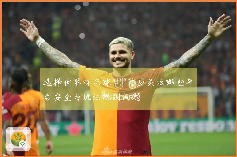 选择世界杯买球APP时应关注哪些平台安全与玩法规则问题